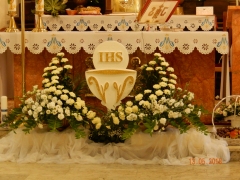 DSCN9466